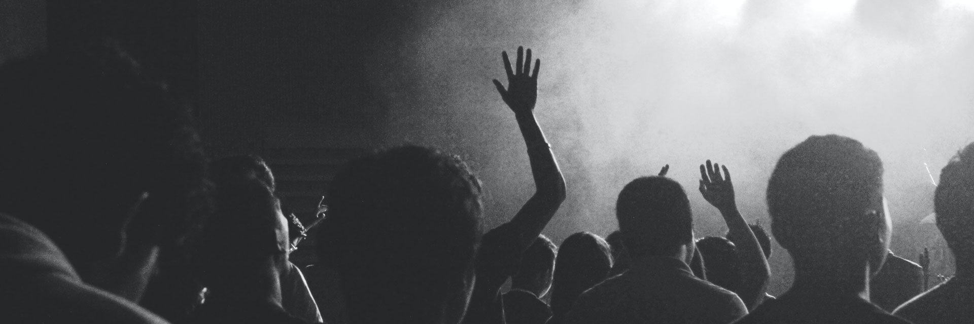 Besucherinnen und Besucher auf einem Konzert. Alle Menschen sind von hinten zu sehen, eine Person hält die Hand beim Tanzen nach oben.